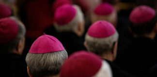 A group of bishops wearing pink hats, viewed from behind