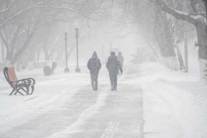 People walking in a snowy park during a blizzard