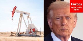 Trump Blasts UK: Get Your Own Oil