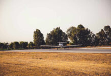 A small airplane on a runway surrounded by trees