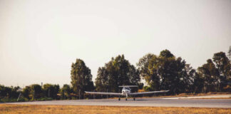A small airplane on a runway surrounded by trees