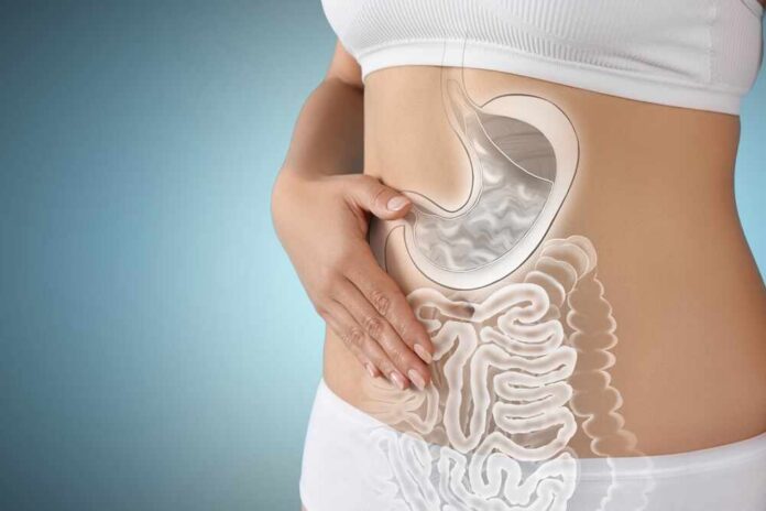 Illustration of a woman's digestive system with a focus on the stomach