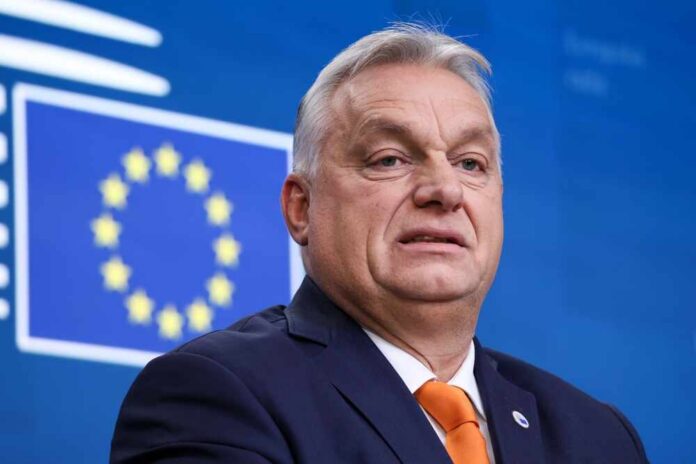 A political leader speaking at a press conference with the European Union flag in the background