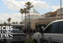 Baton Rouge Horror — Deadly Mall Shootout
