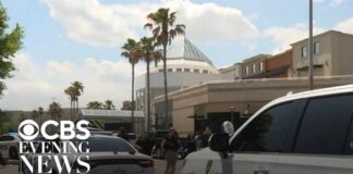 Baton Rouge Horror — Deadly Mall Shootout