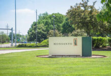 Monsanto corporate sign in a landscaped area