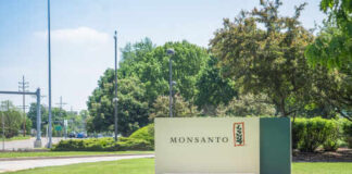 Monsanto corporate sign in a landscaped area