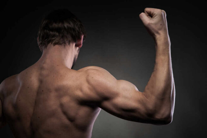 A muscular man flexing his arm from a back view