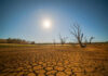 A moonlit landscape featuring cracked earth and barren trees