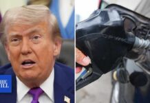 Trump's Gas Tax Pause Shocker: Relief or Ruin