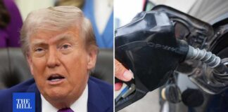 Trump's Gas Tax Pause Shocker: Relief or Ruin
