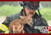Morgan County first responders rescue baby deer from floodwaters during water rescue