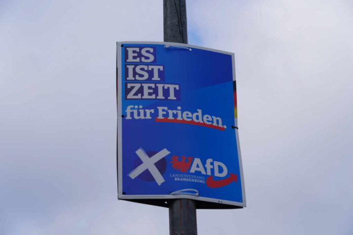 Political poster advocating for peace, featuring the AfD party logo