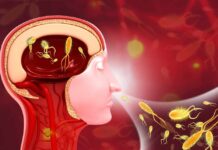 Illustration of a human head with bacteria inside the brain