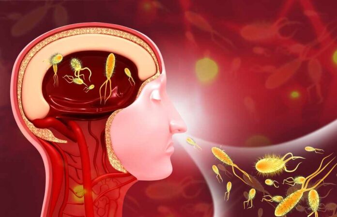 Illustration of a human head with bacteria inside the brain