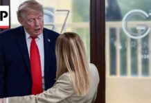 Giorgia Meloni responds to Trump's claim that she 'begged' him for a photo
