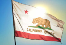 Virus Detected—Accountability Missing California state flag waving in the sunlight