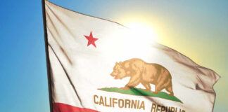 Virus Detected—Accountability Missing California state flag waving in the sunlight