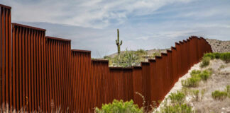 A rusty border wall in a desert landscape with a cactus in the background