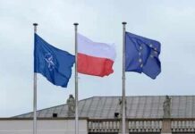 Flags of Finland and NATO waving in the wind against a clear blue sky