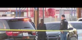 NFL Dream Ends In Fatal Stabbing NFL Dream Ends In Fatal Stabbing