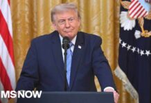 Stolen-Election Addiction Is Breaking America FACT CHECK: Trump uses debunked Michigan case to claim widespread voter fraud