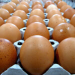 Egg Producers Pay Without Admitting Guilt Close-up of brown eggs arranged in an egg carton