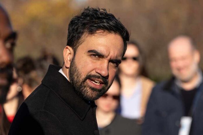 Mayor-elect,Zohran,Mamdani,Holds,Press,Conference,Announcing,Transition,Committees,To A man speaking passionately at an outdoor event with an engaged audience in the background
