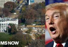 Trump's DC destruction is an 'ABOMINATION': Steele
