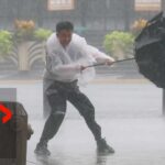Monster Typhoon Triggers Million-Person Dash Typhoon Dolphin makes landfall in eastern China unleashing torrential rain and strong winds