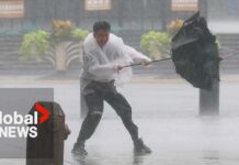Monster Typhoon Triggers Million-Person Dash Typhoon Dolphin makes landfall in eastern China unleashing torrential rain and strong winds