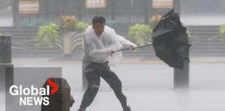 Monster Typhoon Triggers Million-Person Dash Typhoon Dolphin makes landfall in eastern China unleashing torrential rain and strong winds