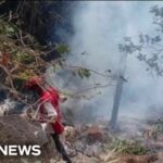 Helicopter crash in Kenya kills four Americans
