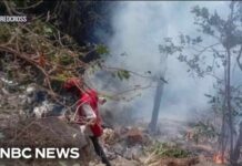 Americans Killed In Remote Helicopter Crash Helicopter crash in Kenya kills four Americans