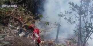 Helicopter crash in Kenya kills four Americans