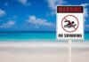 No swimming warning sign on a tropical beach