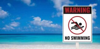 No swimming warning sign on a tropical beach