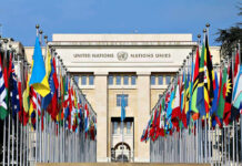 UN Showdown Week Begins United Nations building with numerous national flags outside.