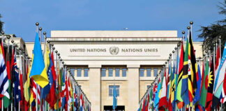 UN Showdown Week Begins United Nations building with numerous national flags outside.