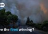 The alarming forecast for Europe's wildfires | DW News