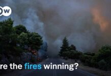 Europe’s New Wildfire Map Is Terrifying The alarming forecast for Europe's wildfires | DW News