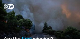 Europe’s New Wildfire Map Is Terrifying The alarming forecast for Europe's wildfires | DW News