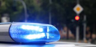 Grieving Mom Torches Sanctuary Licensing Police car blue siren light flashing