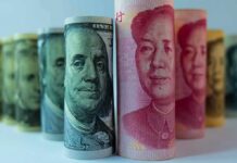 Spy Scare Money Hits California Rolled banknotes with portraits standing upright