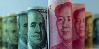 Spy Scare Money Hits California Rolled banknotes with portraits standing upright