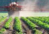 Food Stamp Clash Explodes Again Crop sprayer applies mist over green rows of plants