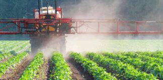 Food Stamp Clash Explodes Again Crop sprayer applies mist over green rows of plants