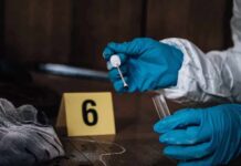 Kitchen Floor Tragedy Stuns Brooklyn Forensic investigator with blue gloves collecting evidence at a crime scene