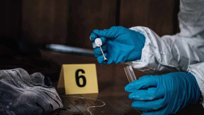 shutterstock_1265067763 Forensic investigator with blue gloves collecting evidence at a crime scene