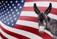 Donkey in front of an American flag